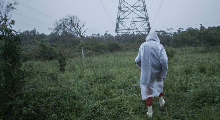 A Destruição de Bernardet : Bild