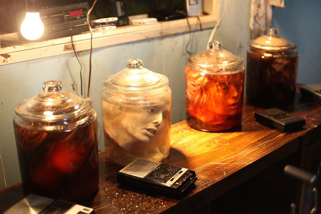 Skin Collector : Bild