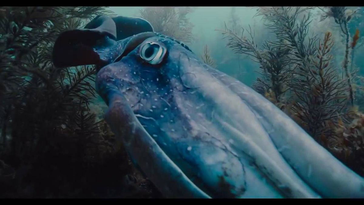 Voyage of Time: Life's Journey : Bild