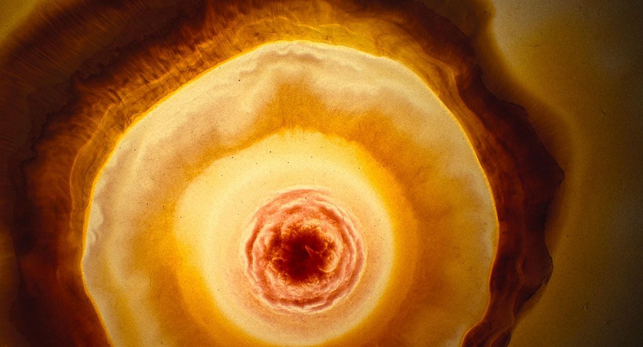 Voyage of Time: Life's Journey : Bild