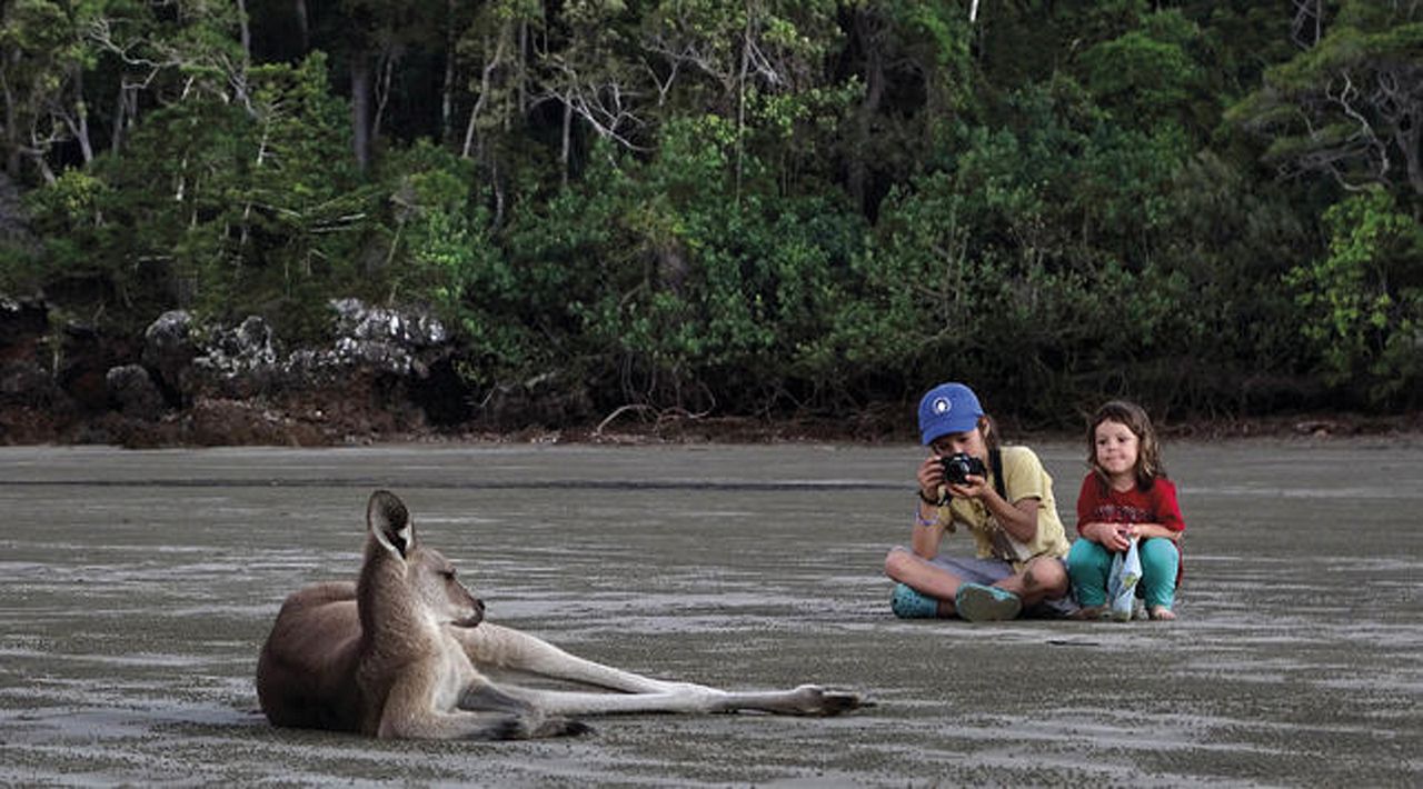 El viaje de Unai : Bild