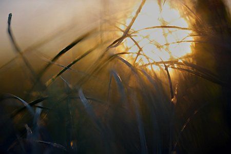 15 Corners of the World : Bild