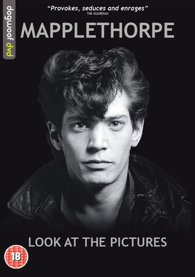 Mapplethorpe: Look At The Pictures : Kinoposter