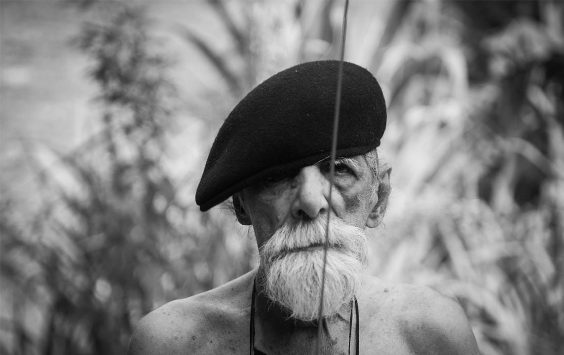 Rogério Duarte, o Tropikaoslista : Bild