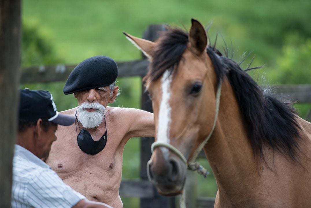 Rogério Duarte, o Tropikaoslista : Bild