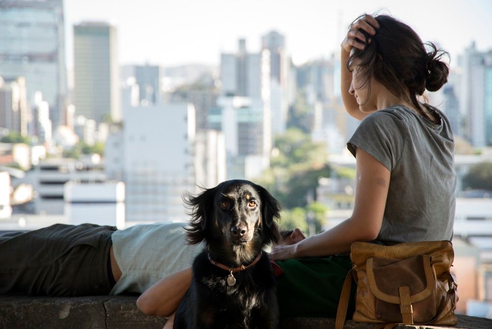 A Cidade Onde Envelheço : Bild