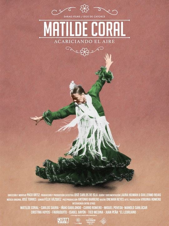 Acariciando el aire. Matilde Coral : Kinoposter