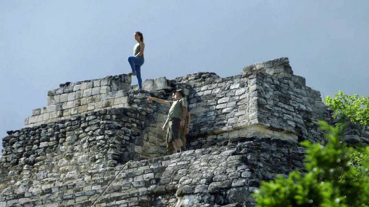 En busca del futuro perdido : Bild