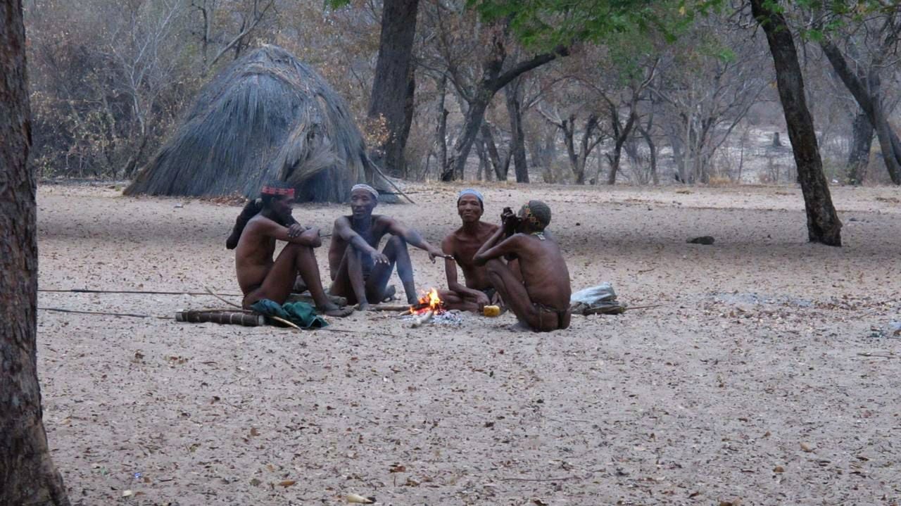 En busca del futuro perdido : Bild