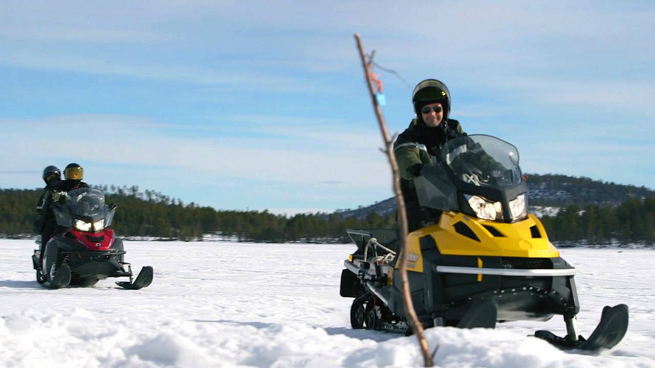 En busca del futuro perdido : Bild