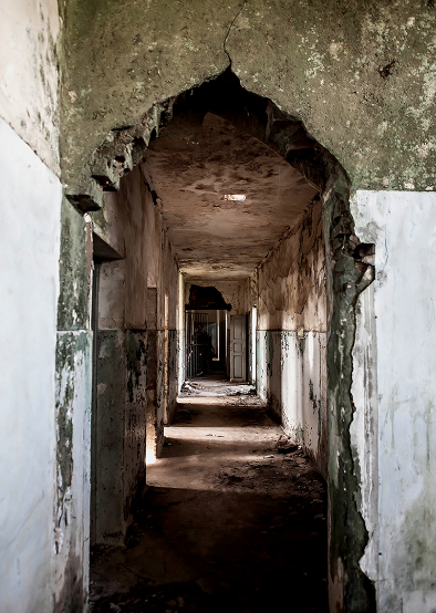 Holocausto Brasileiro : Bild