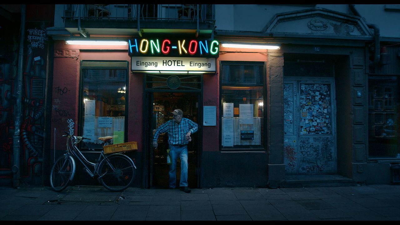 Manche hatten Krokodile : Bild