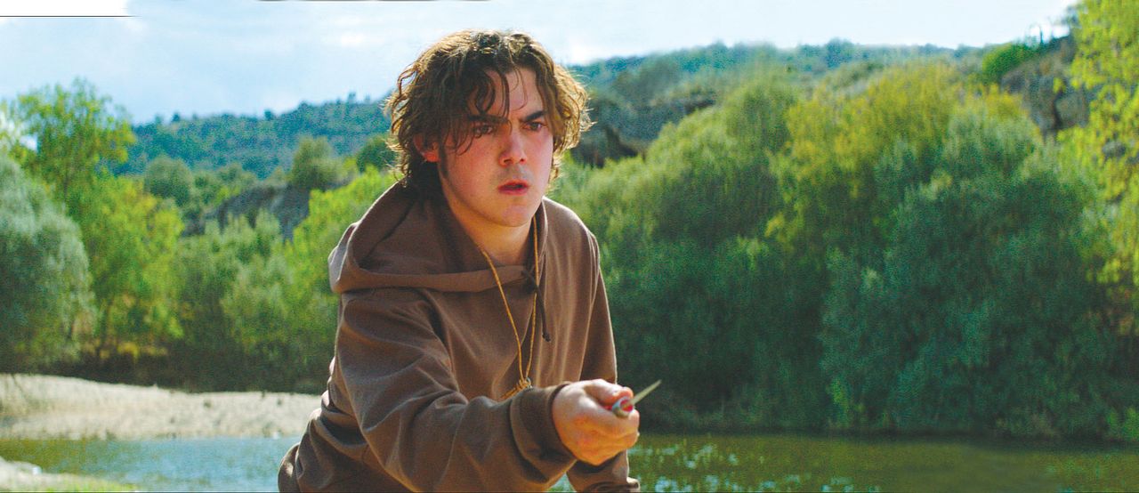 Der Ornithologe : Bild