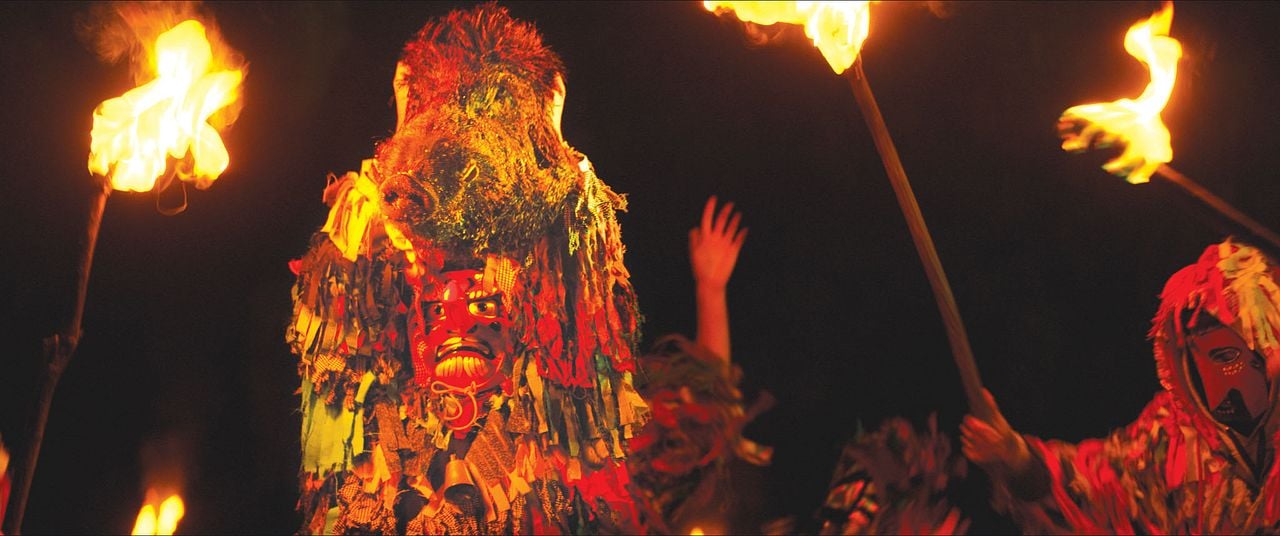 Der Ornithologe : Bild