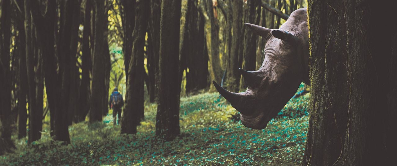 Der Ornithologe : Bild