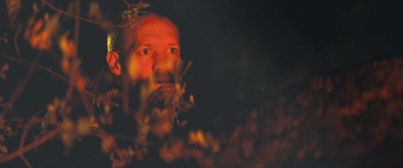 Der Ornithologe : Bild