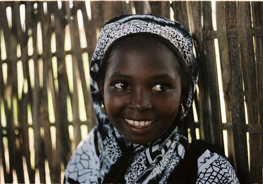 Cahier Africain : Bild