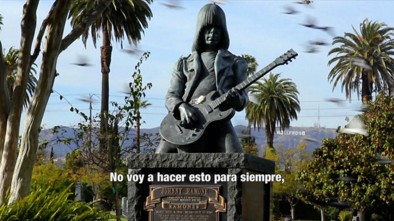 Rockanrollers : Bild