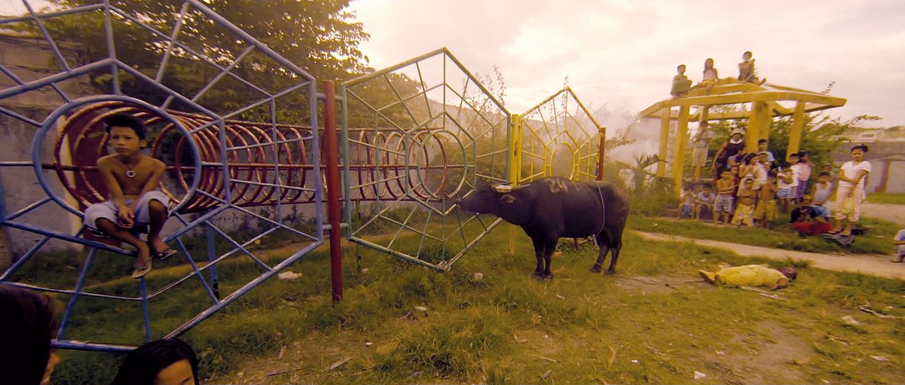 Alipato - The Very Brief Life Of An Ember : Bild