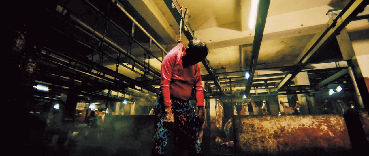 Alipato - The Very Brief Life Of An Ember : Bild