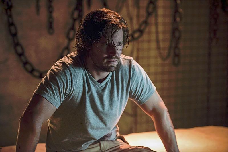 Arrow : Bild Stephen Amell