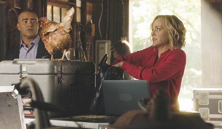 Bull : Bild Chris Jackson, Geneva Carr