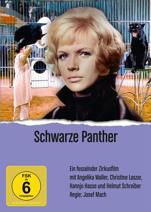 Schwarze Panther : Kinoposter