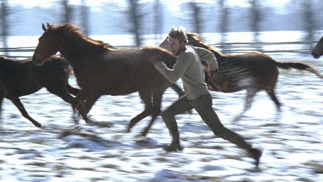 Alles zu verkaufen : Bild