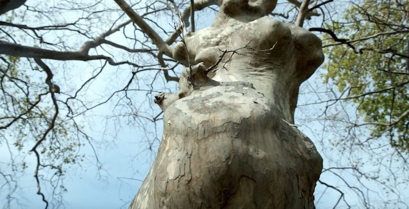 Le Canal envahi : Bild