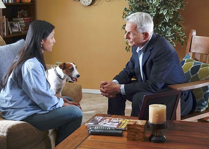 Navy CIS : Bild Mark Harmon