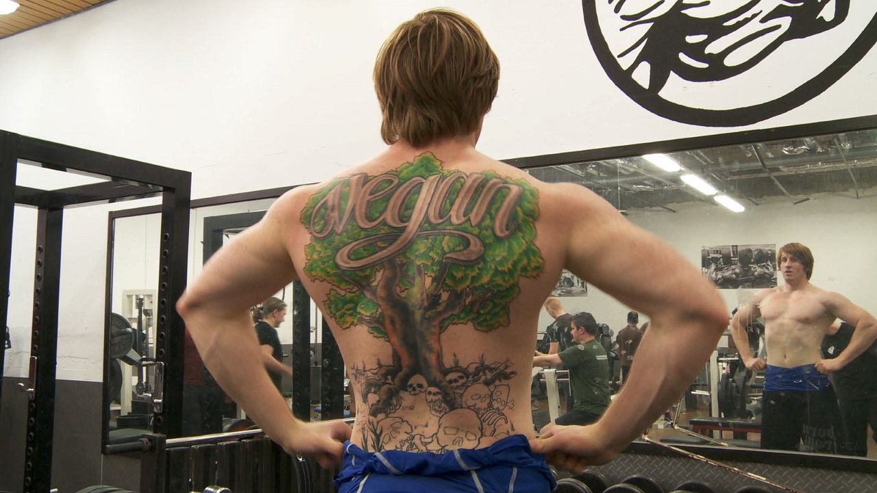 Im Namen der Tiere : Bild