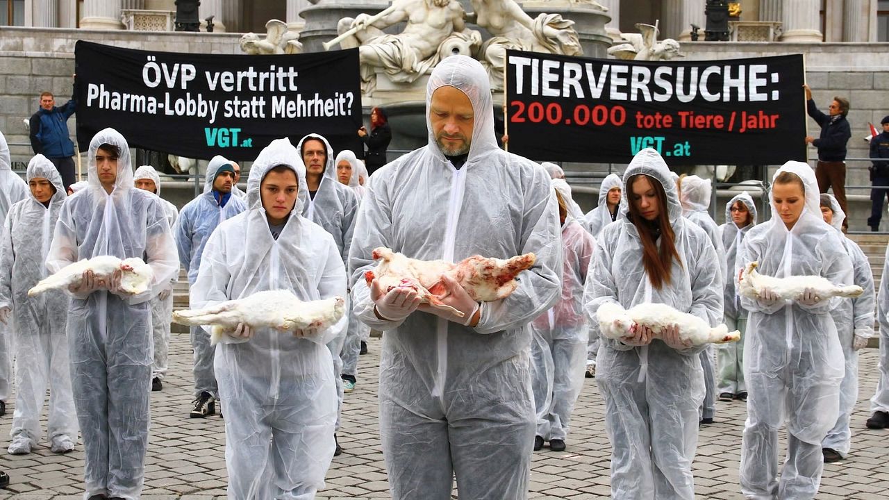 Im Namen der Tiere : Bild