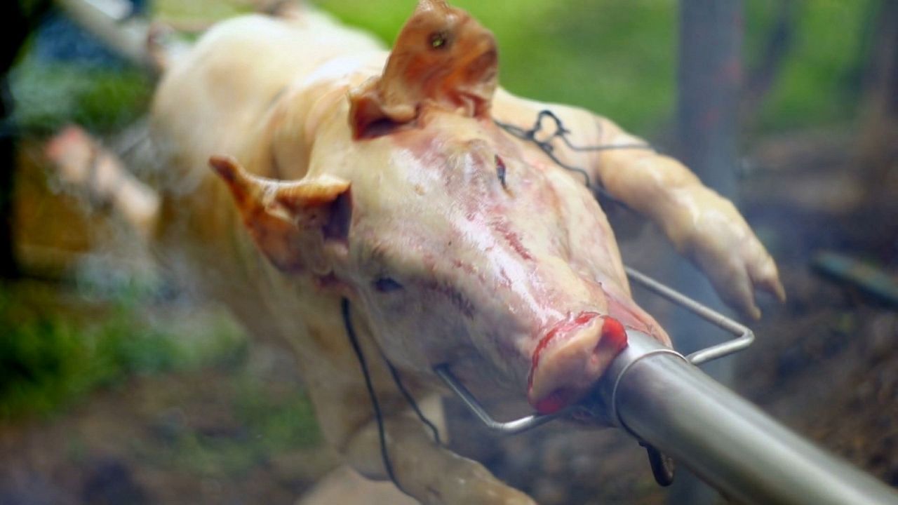 Im Namen der Tiere : Bild