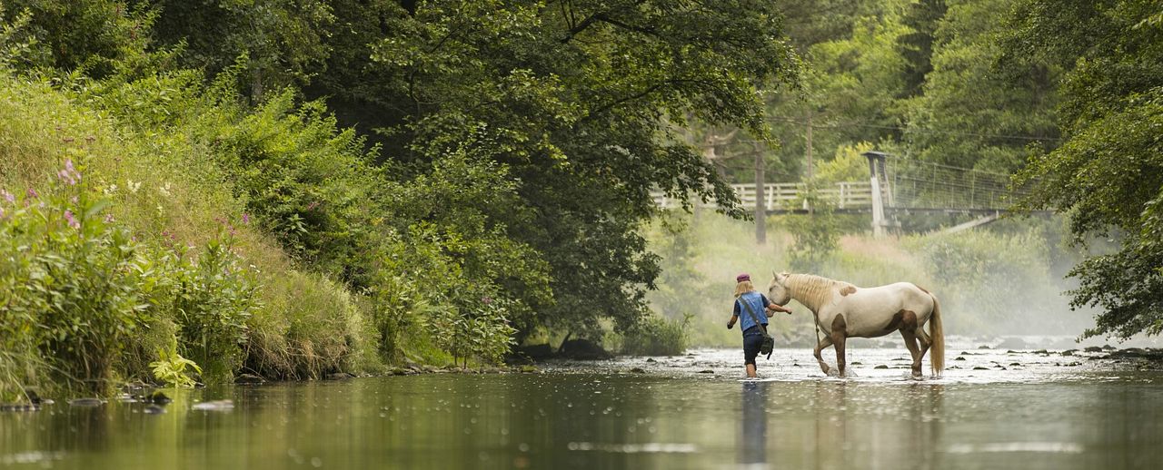Wendy - Der Film : Bild Jule Hermann