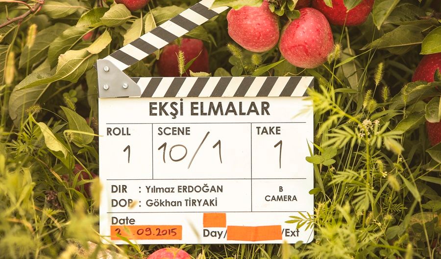 Ekşi Elmalar : Bild