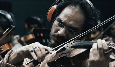 The Violin Player : Bild