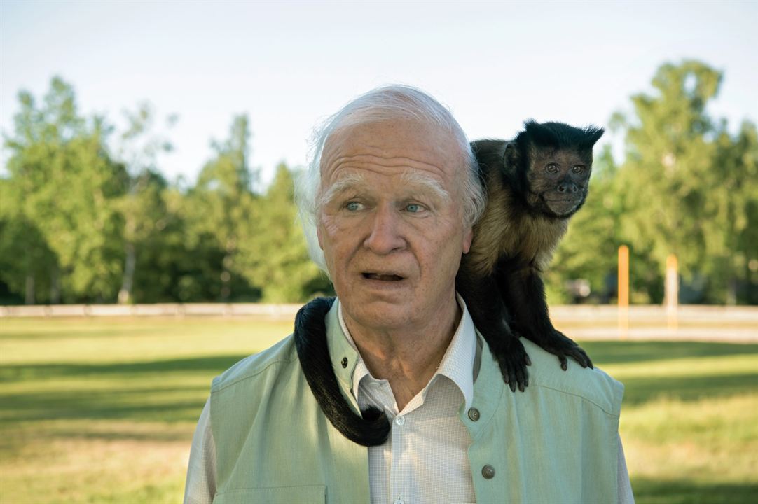 Der Hunderteinjährige, der die Rechnung nicht bezahlte und verschwand : Bild Crystal the Monkey, Robert Gustafsson