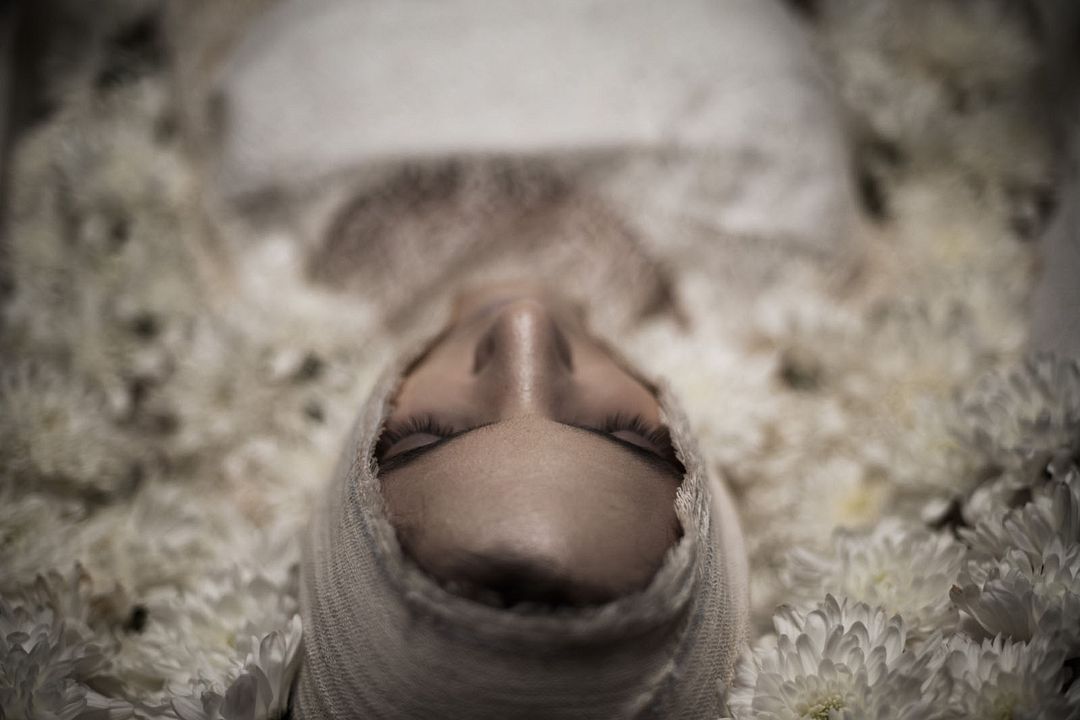 Mate-me Por Favor : Bild