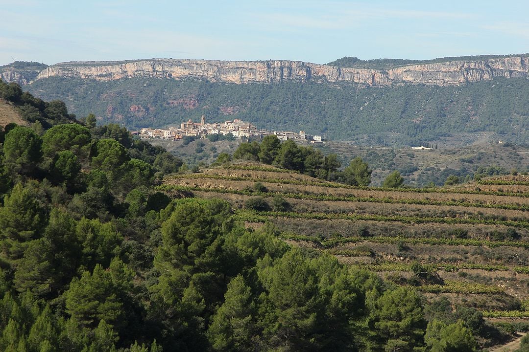 Priorat : Bild