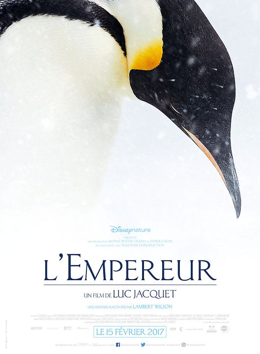 Die Reise der Pinguine 2 : Kinoposter