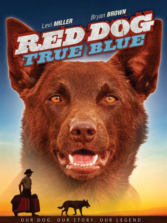 Red Dog - Mein treuer Freund : Kinoposter