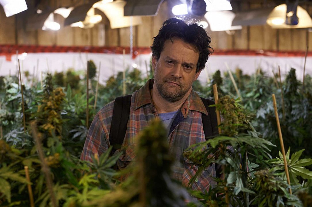 Les Mauvaises herbes : Bild