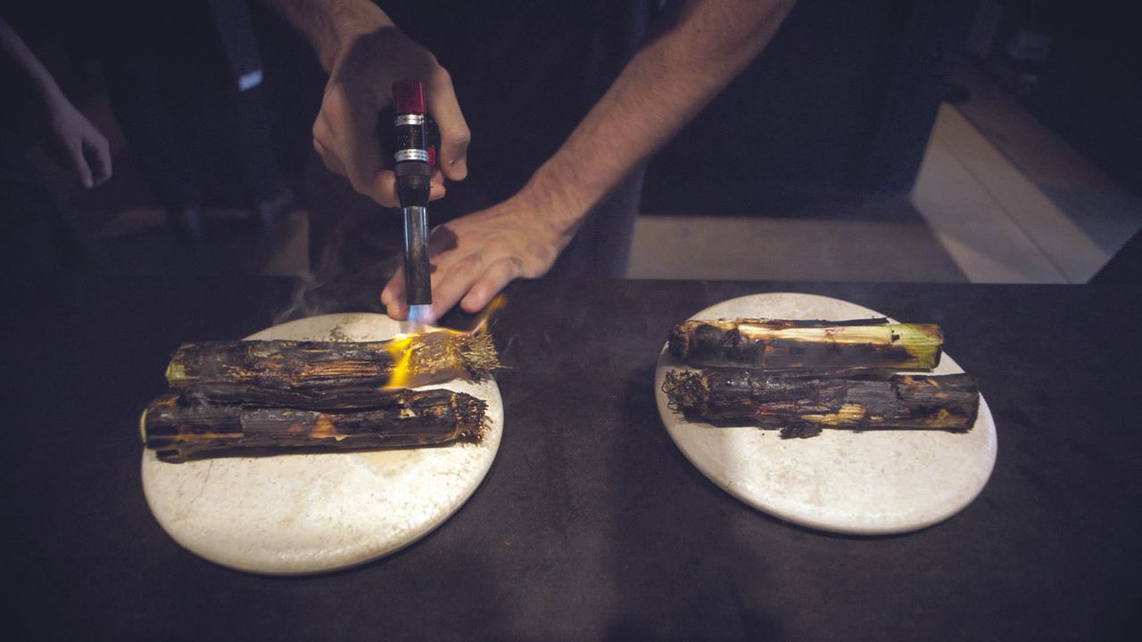 Ants on a Shrimp : Bild