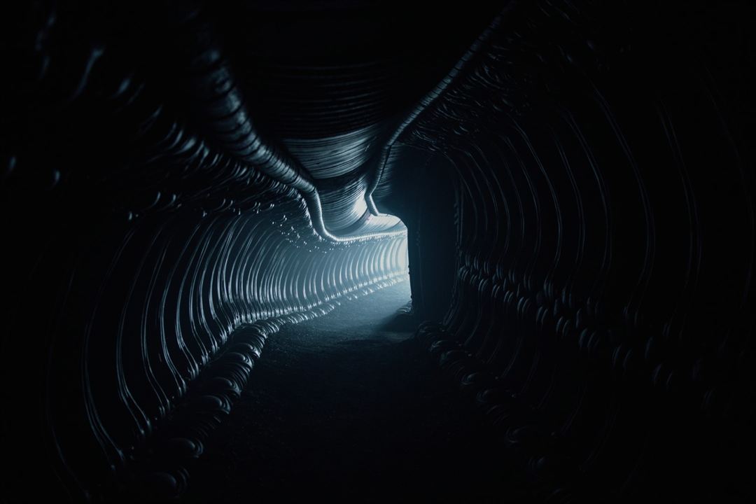 Alien: Covenant : Bild