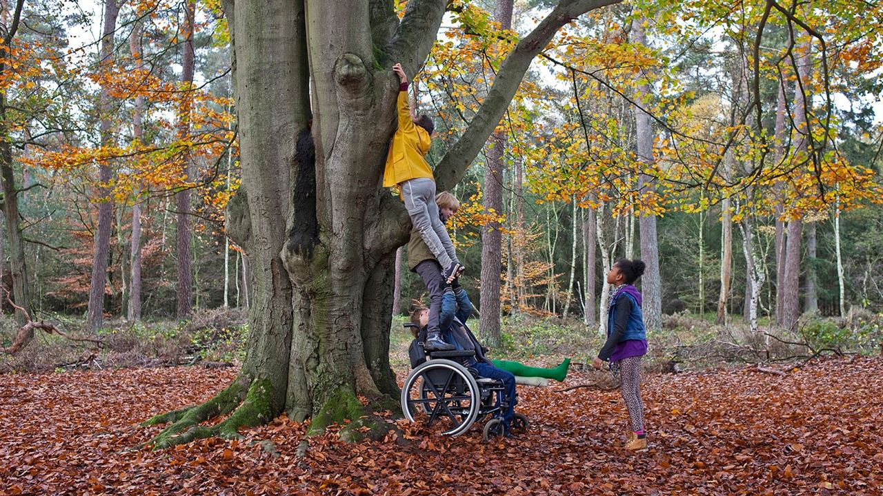 Der Fall Mäuserich : Bild Hiba Ghafry, Jashayra Oehlers, Matheu Hinzen, Felix van de Weerdt