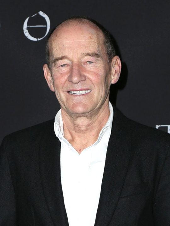 Kinoposter David Hayman