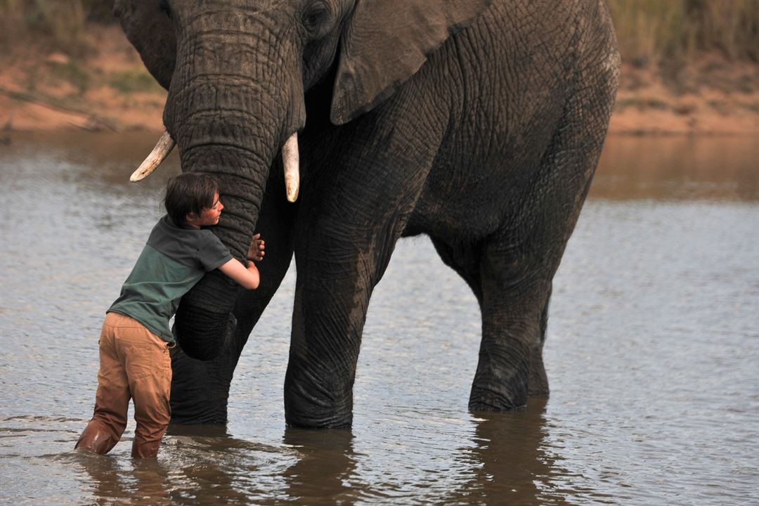 Kleine Helden, große Wildnis 2 - Abenteuer Serengeti : Bild John Paul Ruttan