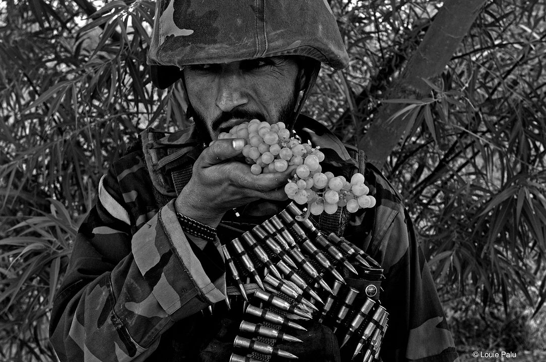 Kandahar Journals : Bild
