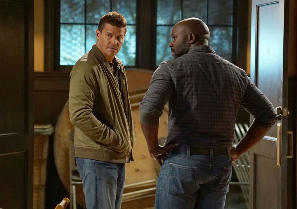 Bild David Boreanaz, Michael Johnson