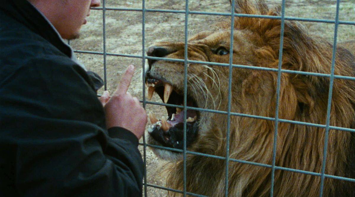 Mister Universo : Bild